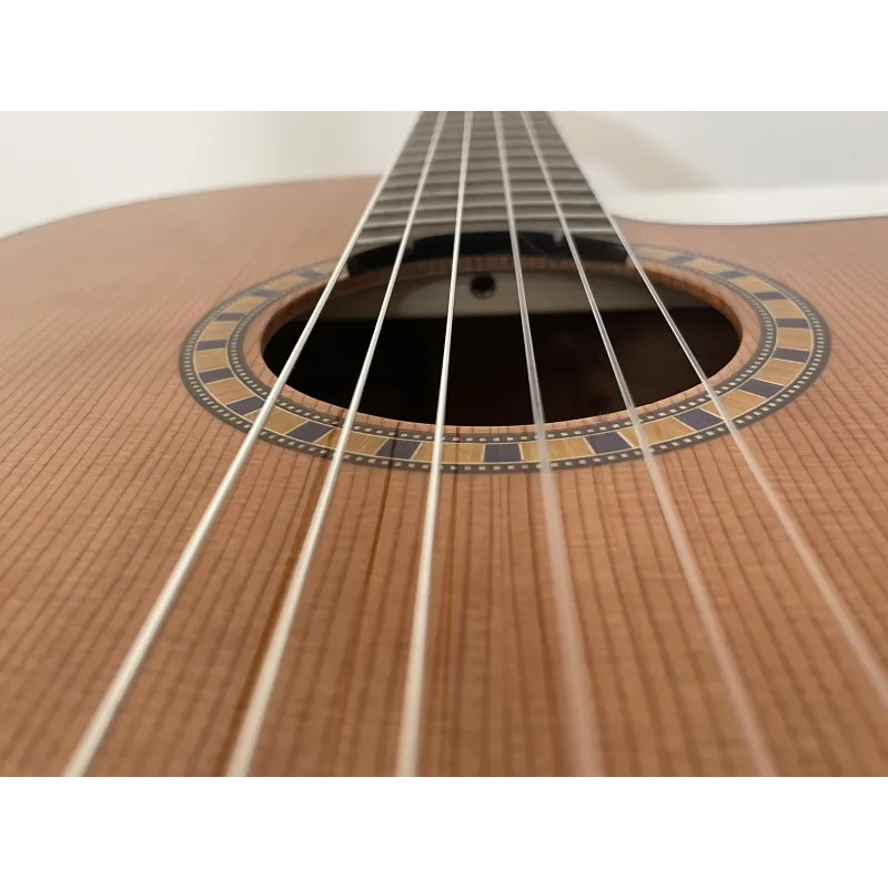 Guitarra Admira Crossover Con Fishman Presys Blend