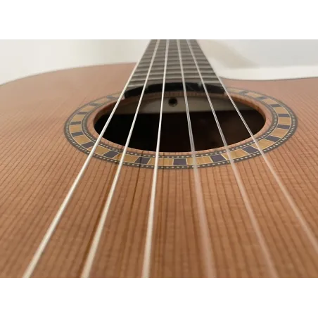 Guitarra Admira Crossover Con Fishman Presys Blend