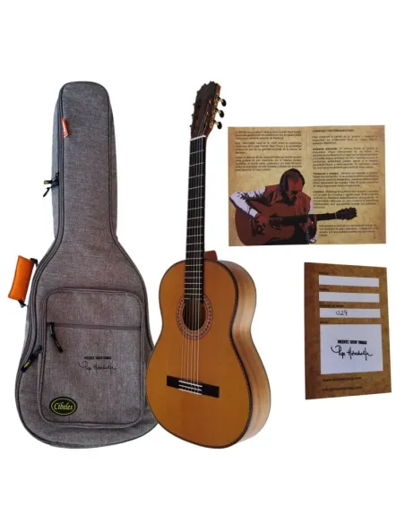 Guitarra Flamenca Profesional Vicente Tatay - Modelo Pepe Habichuela en Cedro y Ciprés