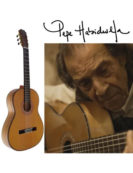 Guitarra Flamenca Profesional Vicente Tatay - Modelo Pepe Habichuela en Cedro y Ciprés
