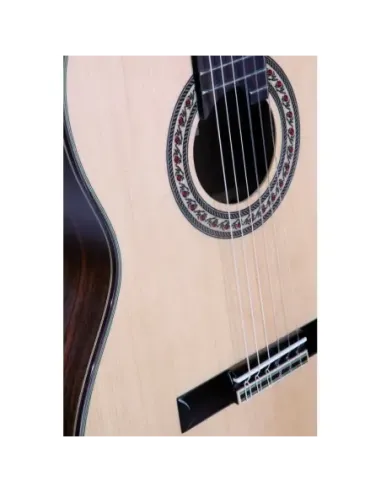 Guitarra Flamenca Vicente Tatay C320.580 RS - Palosanto y Abeto con Brillo Profesional
