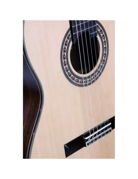 Guitarra Flamenca Vicente Tatay C320.580 RS - Palosanto y Abeto con Brillo Profesional