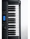 Teclados